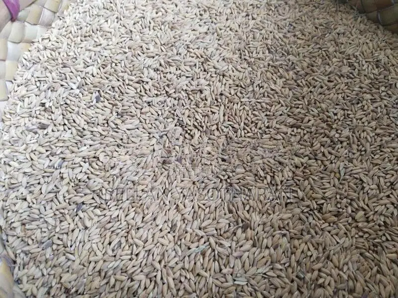 விதை நெல் (seed paddy)
