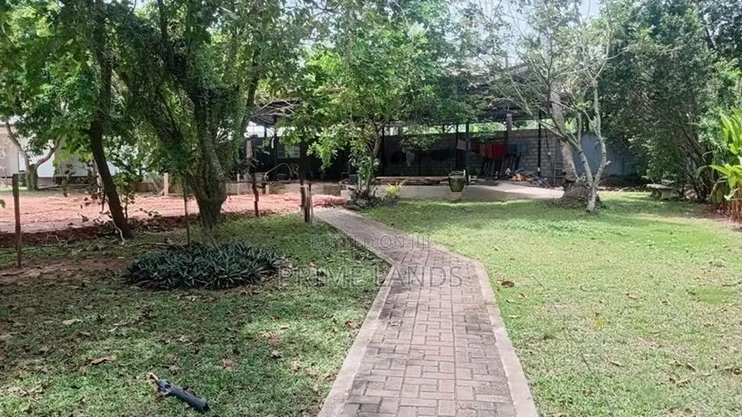 මිගමුව කටුනායක දෙමංහංදියට නුදුරින් අගනා බිම් කොටස් විකිණීමට