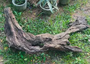 Driftwood