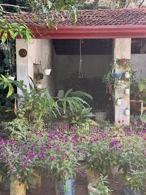 Property For Sale – Kithalella, ELLA