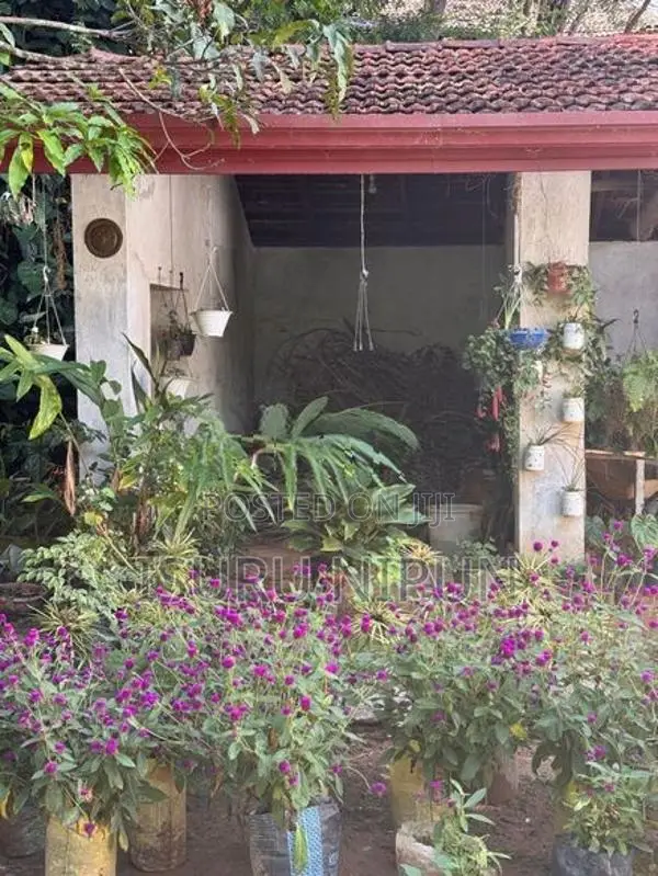 Property For Sale – Kithalella, ELLA