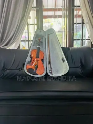 4/4 Super Lark Violin