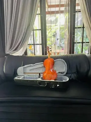 4/4 Super Lark Violin