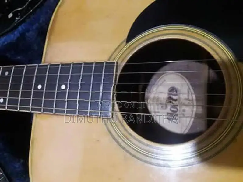 Morris W20 Guitar
