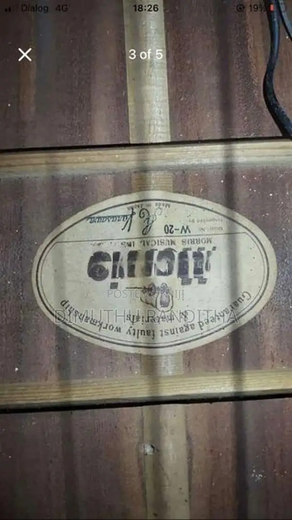 Morris W20 Guitar