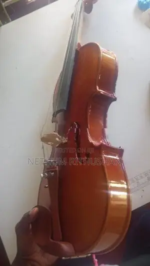 Violin