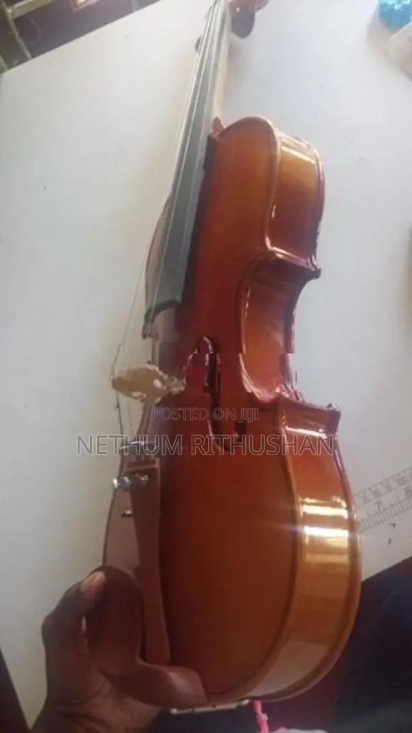 Violin