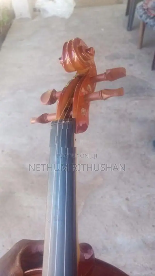 Violin