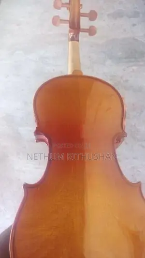 Violin