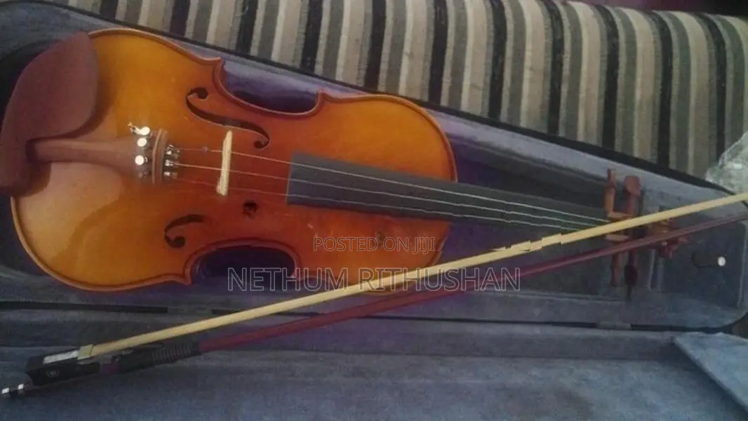 Violin
