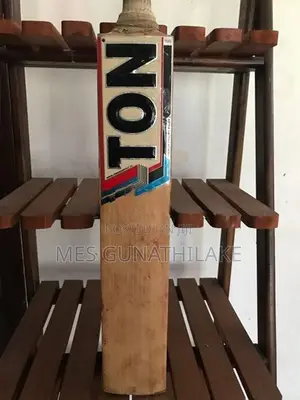 SS Ton Cricket Bat