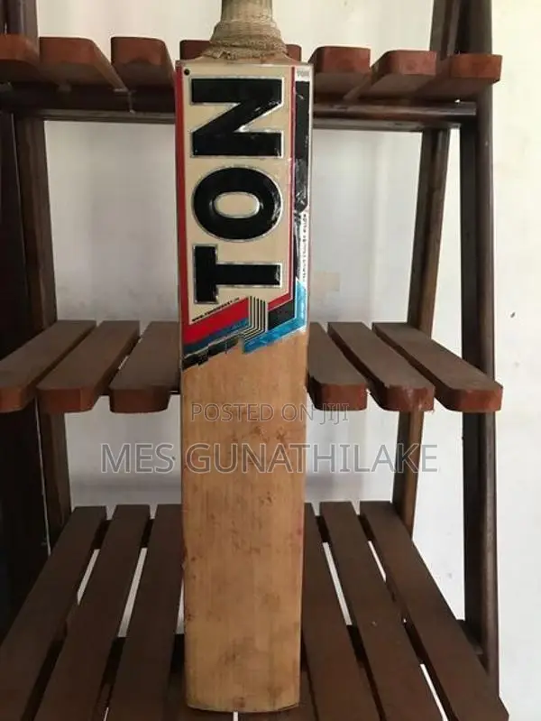 SS Ton Cricket Bat