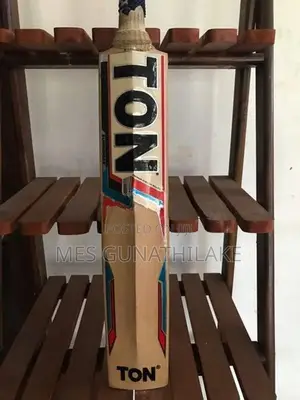 SS Ton Cricket Bat