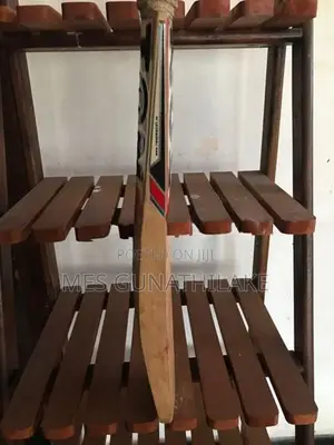 SS Ton Cricket Bat