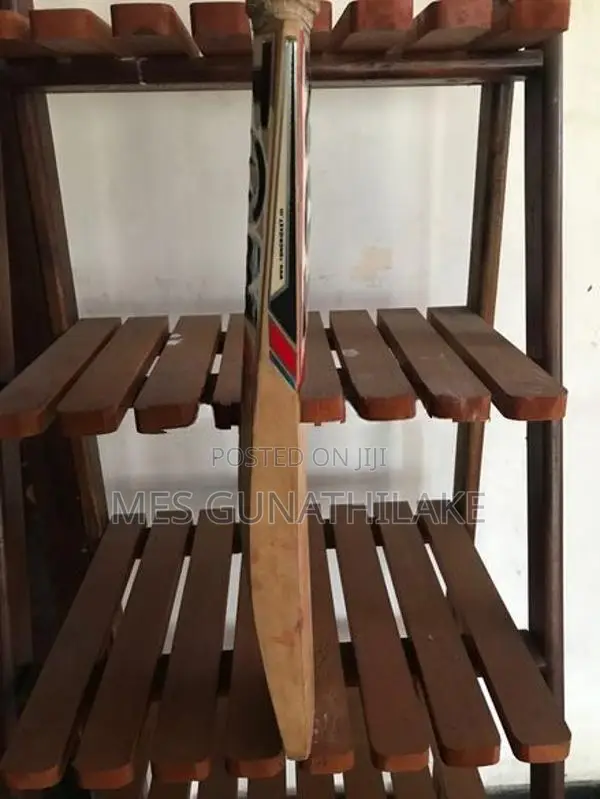 SS Ton Cricket Bat