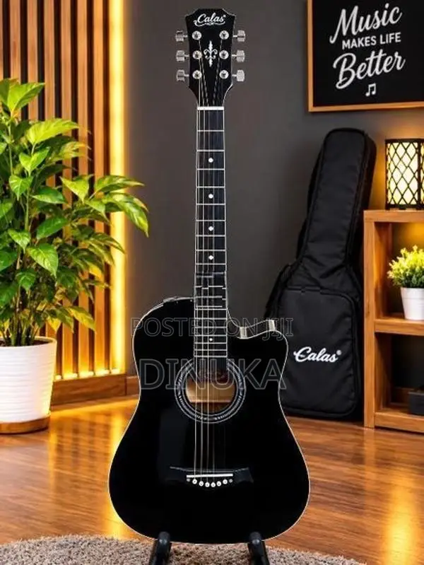 38" Beginner Guitars