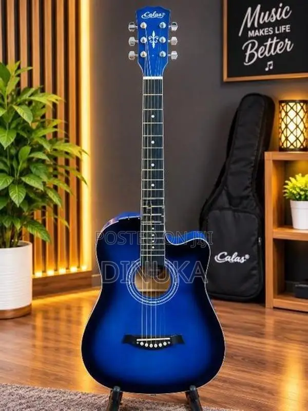 38" Beginner Guitars