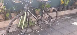 JapanCycle for Other
