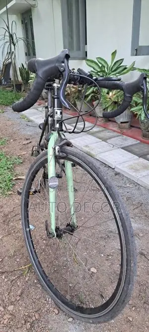 JapanCycle for Other