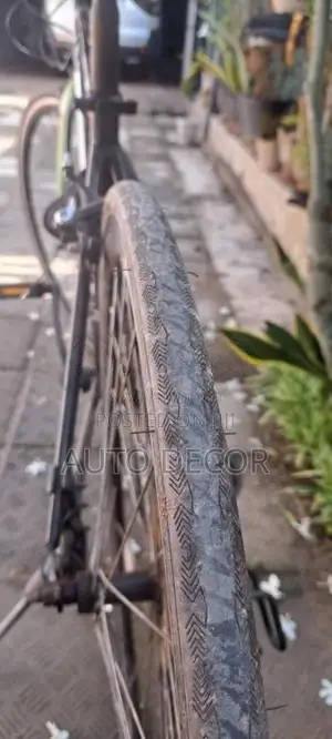 JapanCycle for Other