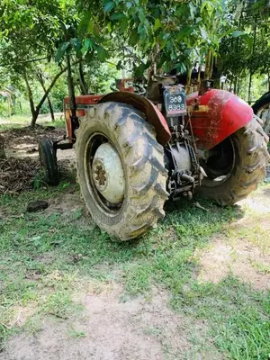 Massey-Ferguson 240 1980 Tractor (Used)