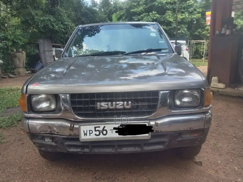 Isuzu Cab 1994 Pickup (Used)