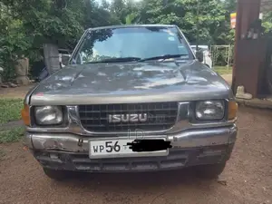 Isuzu Cab 1994 Pickup (Used)