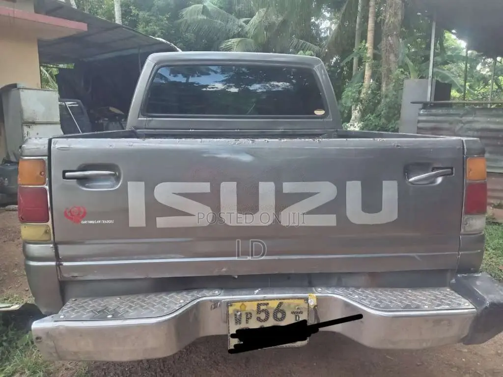 Isuzu Cab 1994 Pickup (Used)