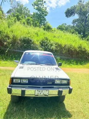 Nissan Datsun SG720 1984 Pickup (Used)