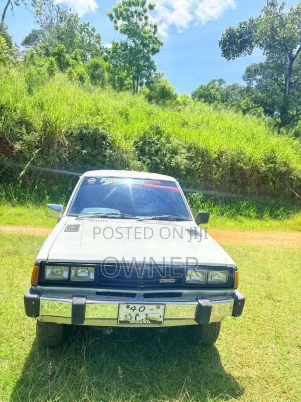 Nissan Datsun SG720 1984 Pickup (Used)