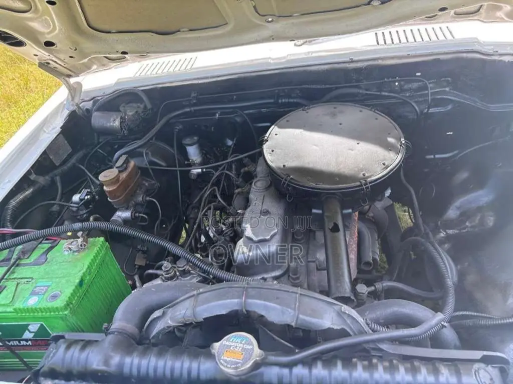 Nissan Datsun SG720 1984 Pickup (Used)