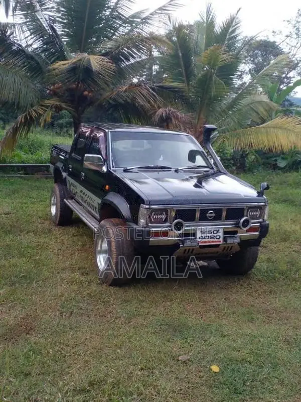 Nissan D21 1993 Pickup (Used)