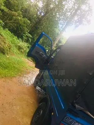Tata Dimo Batta 2019 Lorry (Used)