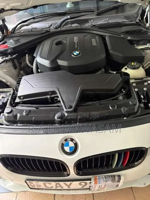 BMW 318i 2016 Car (Used)