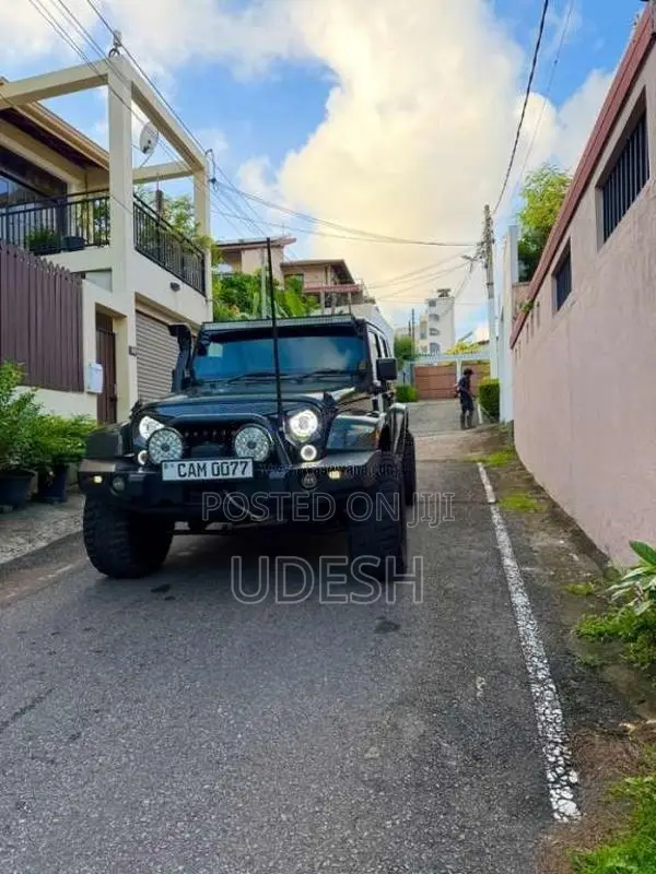Jeep Wrangler 2015 SUV (Used)