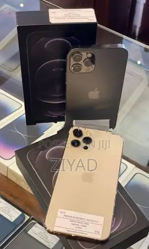 Apple iPhone 12 Pro 256GB (Used)