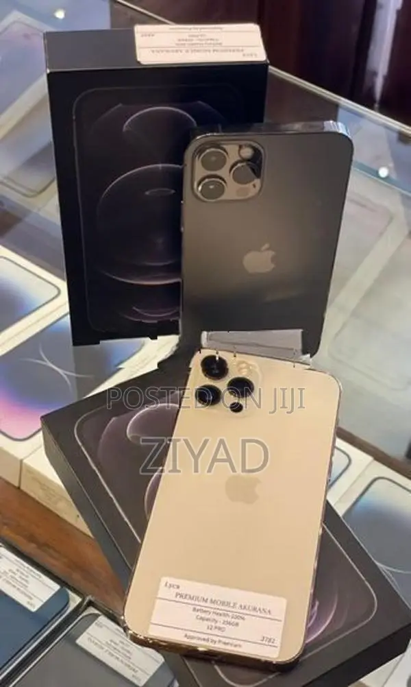 Apple iPhone 12 Pro 256GB (Used)