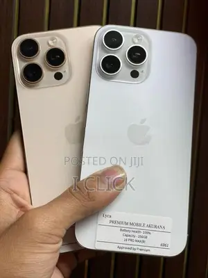 Apple iPhone 16 Pro Max 256GB (Used)