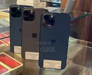 Apple iPhone 12 Pro Max 256GB (Used)