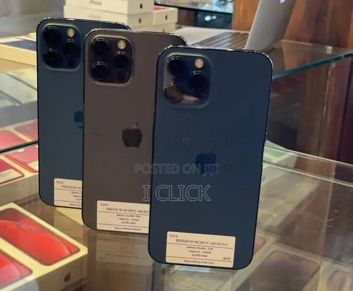 Apple iPhone 12 Pro Max 256GB (Used)