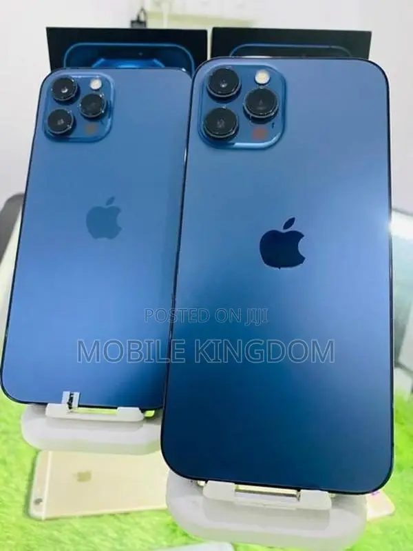 Apple iPhone 12 Pro Max 256GB Fullset Box (Used)