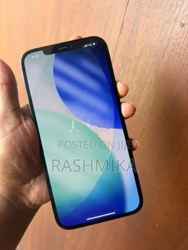 Apple iPhone 12 Pro Max (Used)