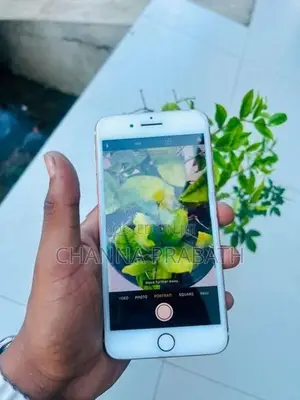 Apple iPhone 7 Plus (Used)