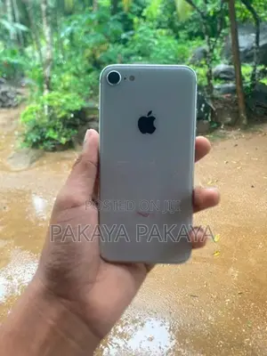 Apple iPhone 8 (Used)