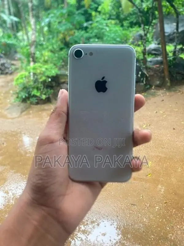 Apple iPhone 8 (Used)