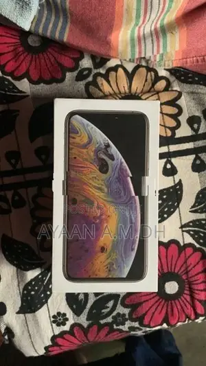 Apple iPhone XS 256 GB (Used)