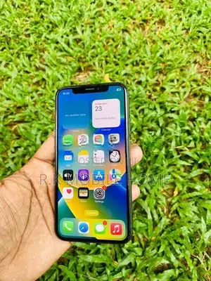 Apple iPhone X (Used)
