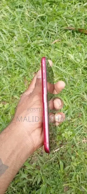 Apple iPhone 11 (Used)