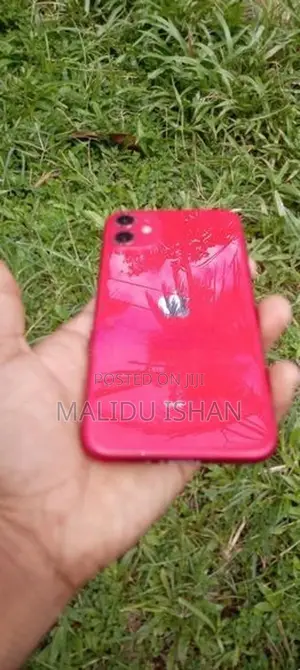 Apple iPhone 11 (Used)
