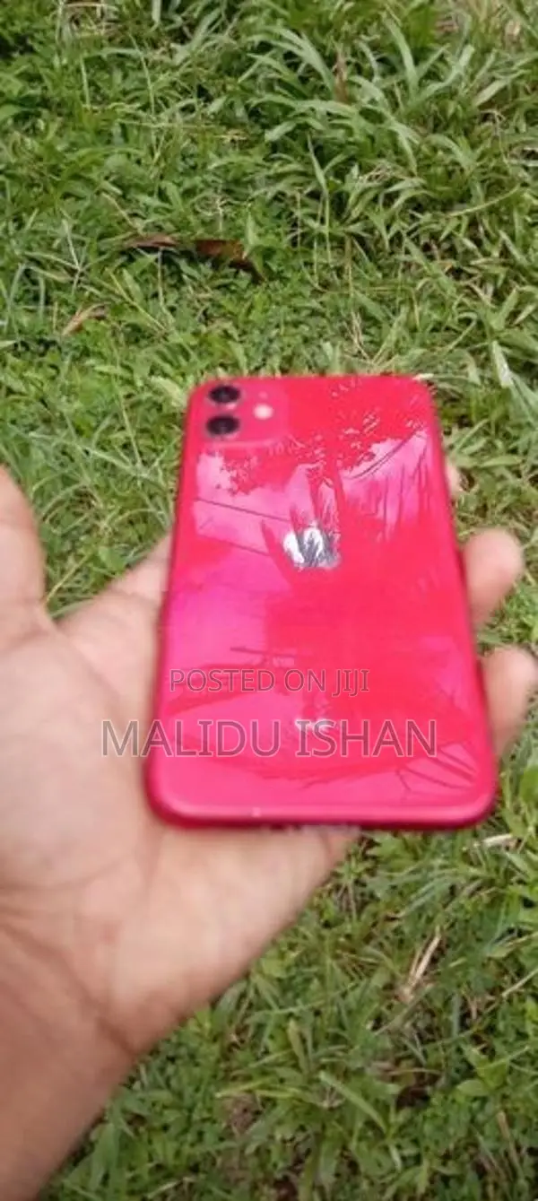 Apple iPhone 11 (Used)